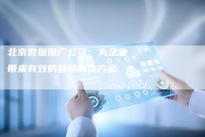 北京数据推广公司：为企业带来有效的营销解决方案