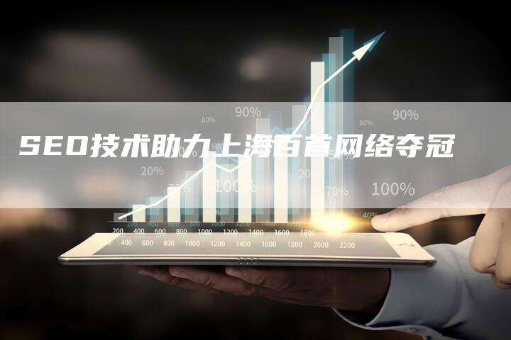 SEO技术助力上海百首网络夺冠
