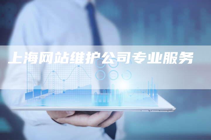 上海网站维护公司专业服务