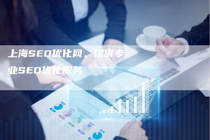 上海SEO优化网，提供专业SEO优化服务